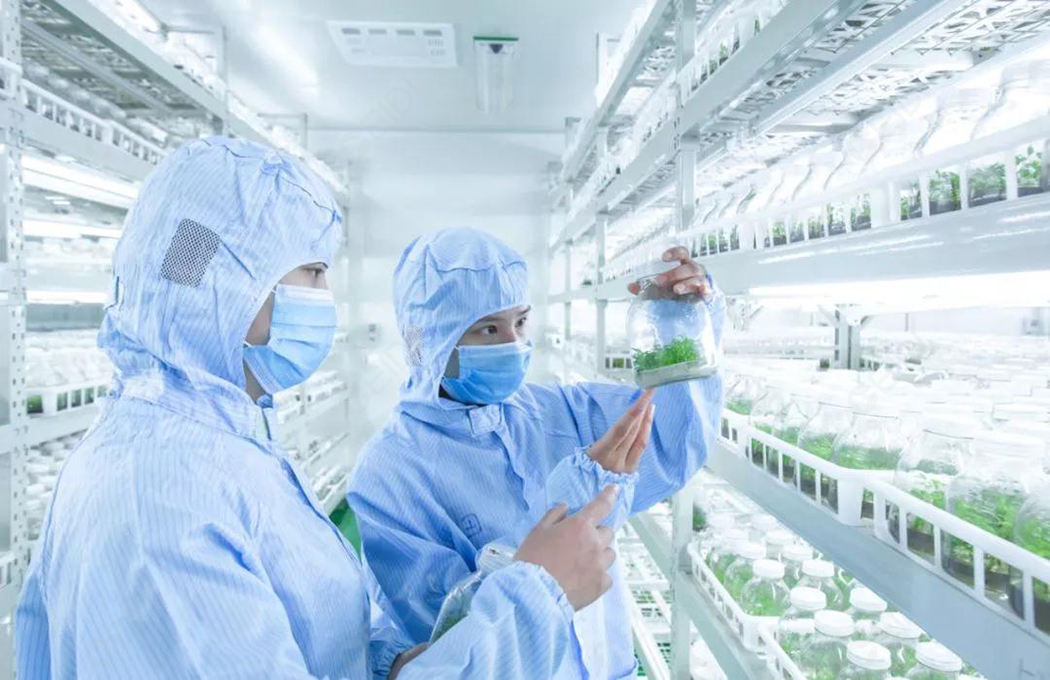 食品農產品實驗室裝修設計，要體現那些要點？